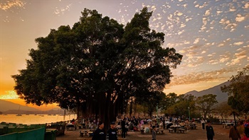 黄镓铭 (季军) - 最优美的环境，市民享受郊游乐。就大树的祝福下，遮挡猛烈啲阳光，人与大自然在黄昏的美景下交融。